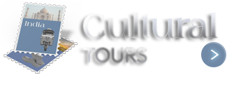Cultural Tours Icon